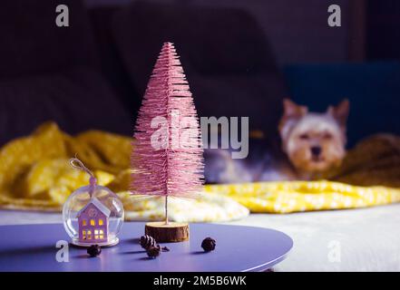 Chien du Yorkshire Terrier sur un canapé dans une chambre confortable à la veille de Noël. Arbre rose nouvel an. Banque D'Images