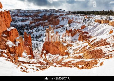 Neige d'hiver dans le parc national de Bryce Canyon, Utah Banque D'Images
