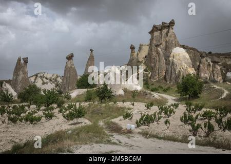 Une belle formation de pierre dans la vallée de Pasabag en Cappadoce, avec un ciel orageux en arrière-plan Banque D'Images