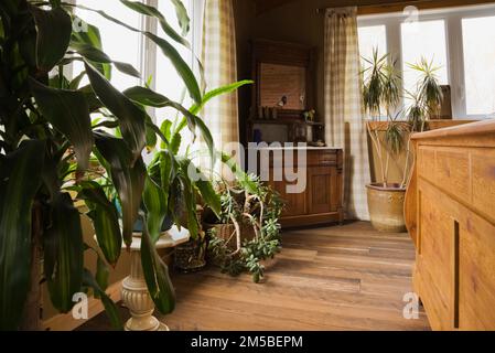 Plantes vertes et commode en bois antique dans la chambre principale à l'étage à l'intérieur d'une maison en rondins de style cottage. Banque D'Images