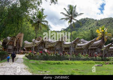 Tongkonan maison traditionnelle à Toraja, Sulawesi Sud, Indonésie Banque D'Images