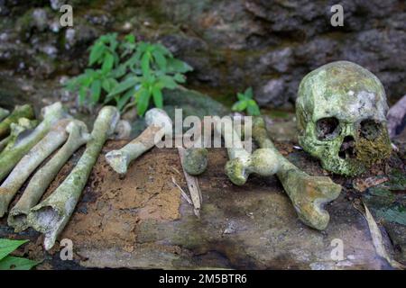 Des squelettes sont éparpillés dans le tombeau traditionnel de la tribu Toraja, Sulawesi du Sud, Indonésie. Banque D'Images