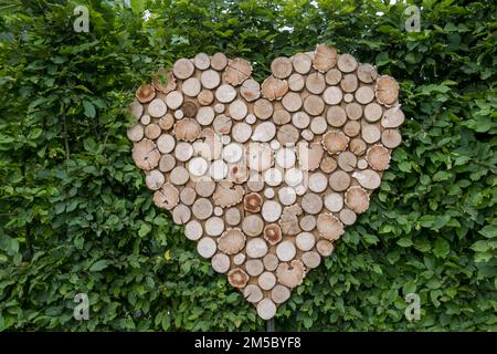 Coeur fait de petits disques en bois, Muensterland, Rhénanie-du-Nord-Westphalie, Allemagne Banque D'Images