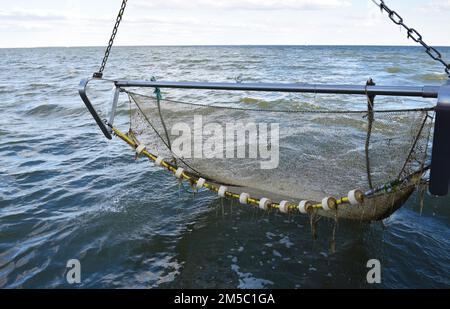 Le crabe cutter a exposé ses filets dans la mer du Nord, Buesum, Allemagne Banque D'Images