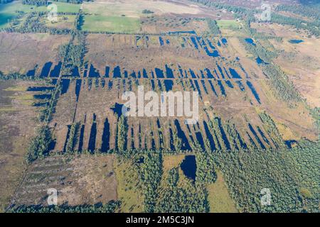 Vue aérienne Pietzmoor, lande, marais, tourbe, ancienne découpe de tourbe, Sentier de randonnée pédestre, sentier de mourage, eau, source, Schneverdingen, Basse-Saxe, Allemagne Banque D'Images