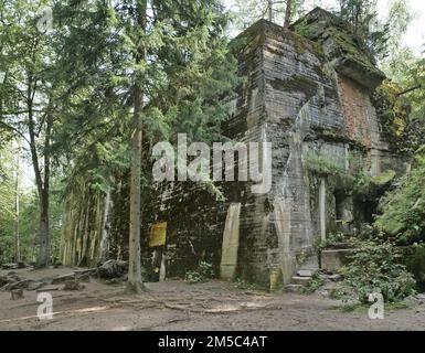 Le bunker d'Adolf Hitler dans les ruines du Wolf's Lair (aussi Wolfschanze ou Goerlitz), le centre de situation militaire de l'état-major de commandement de la Banque D'Images