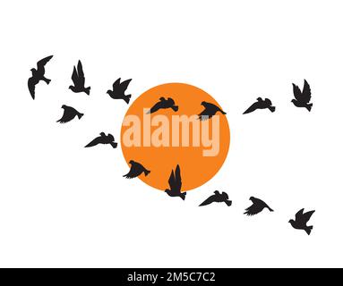 Silhouettes d'oiseaux volants au coucher du soleil isolé sur fond blanc, vecteur. Un troupeau d'oiseaux volant ensemble en harmonie, illustration. Autocollants muraux, mur Illustration de Vecteur