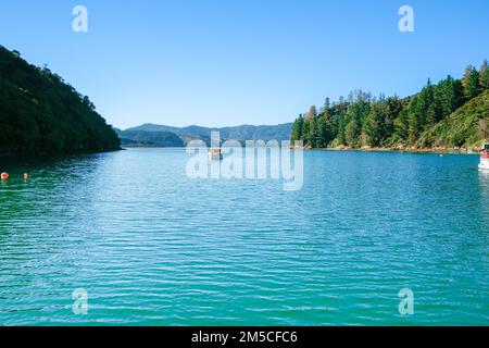 Vue panoramique sur Marlborough Sounds. De Queen Charlotte Track Walk avec bateau amarré dans la baie. Banque D'Images