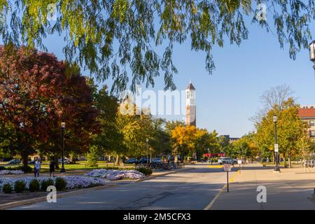 La tour Bell est entourée d'arbres d'automne colorés à West Lafayette Campus, Indiana Banque D'Images