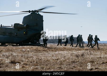 Un hélicoptère CH-47 Chinook de l'Aviation Task Force (ATF) de la Royal British Air Force décharge les parachutistes lors d'un exercice d'assaut aérien mené par les États-Unis, la Lituanie et le Royaume-Uni, à Kazlu Ruda, en Lituanie, au 1 mars 2022. L'exercice multinational a démontré l'interopérabilité entre les forces lituaniennes pour Sabre Strike 22. Les frappes de sabre et les exercices de ce type montrent que les forces américaines et européennes peuvent simultanément soutenir les opérations en cours et les entraînements réguliers sans dégradation dans le soutien aux alliés et aux partenaires de l'OTAN. Banque D'Images