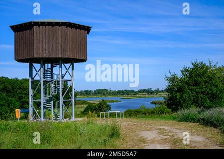 Tour d'observation au-dessus de la vallée de la rivière Peene à Randow près de Demmin, Mecklembourg-Poméranie occidentale, Allemagne, Europe. Banque D'Images