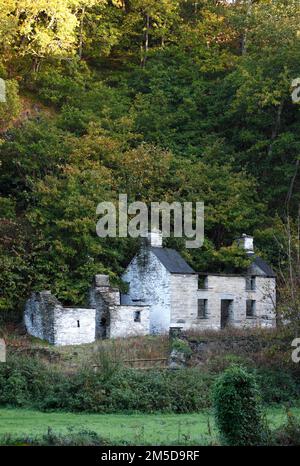 Ruiné ferme abandonnée sur les rives d'Afon Teif, entre Cilgerran et Lecryd, Pembrokeshire, pays de Galles de l'Ouest, Royaume-Uni Banque D'Images