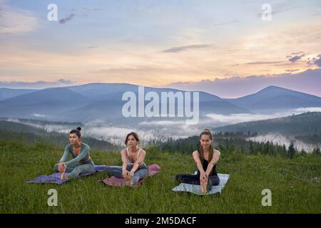 Belles jeunes femmes en tenue de sport faisant des exercices d'étirement tout en s'entraîner parmi la nature verte. Concept de flexibilité, de personnel et d'entraînement. Banque D'Images