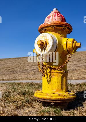 Gros plan vertical d'une borne d'incendie jaune rouillé sur un champ rural Banque D'Images