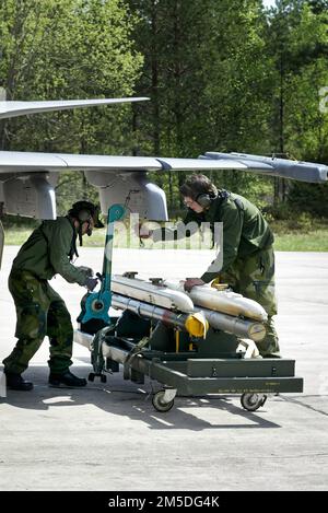 Dimanche, le Commandant suprême a visité la base aérienne Hagshult pendant l'exercice 04 de la Force aérienne (en suédois : Flygvapenövning-04), où, entre autres, le Jas 39 Gripen a été piloté. Banque D'Images