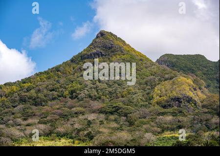 Montagne du Lion surplombant le village du Bois des Amourettes, traduite en forêt d'amoureux, Maurice, Afrique Banque D'Images