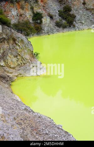 Piscine géothermique vert émeraude connue sous le nom de Devil's Bath dans le parc thermal de Wai-o-tapu, Rotorua, Nouvelle-Zélande Banque D'Images