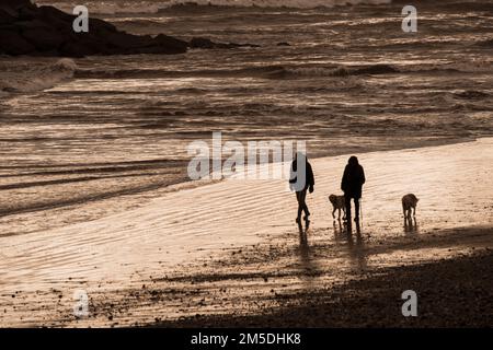 Un couple avec deux chiens qui se baladent le long de la mer sous le soleil de la fin de la soirée à Sidmouth, Devon, Angleterre Banque D'Images