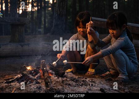De jolies petites sœurs rôtisent des guimauves sur un feu de camp. Les enfants s'amusent au feu de camp. Camping avec enfants dans la pinède d'hiver. Bonne famille Banque D'Images