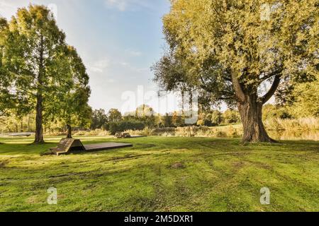 un parc vide avec des arbres et des bancs dans l'avant - image a été prise sur une photo de stock ensoleillé jour d'automne Banque D'Images