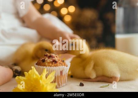 De jolis canetons moelleux sur la table de Pâques avec des œufs de caille et des cupcakes de Pâques, à côté d'une petite fille. Le concept d'un Joyeuses Pâques. Banque D'Images