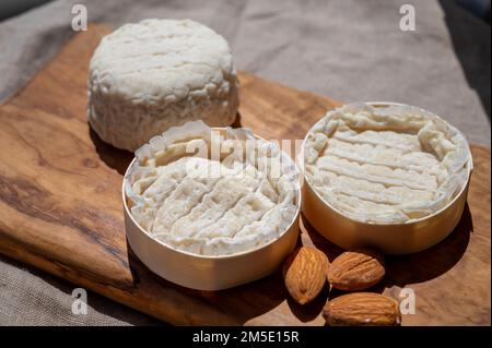 Fromages français Rocamadour et Saint-Marcellin servis sur une planche en bois d'olivier avec des amandes sur des lampes solaires Banque D'Images