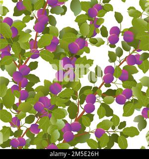 Branches de prune avec des fruits mûrs belle. Plante de jardin avec récolte comestible. Composition de motifs sans couture. Branche avec feuillage et feuilles. Isolé Illustration de Vecteur
