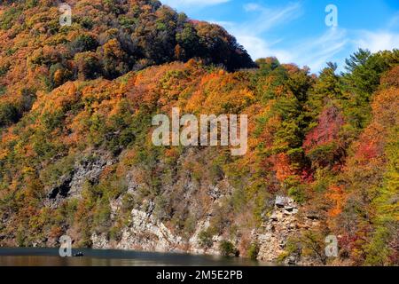 Paysage d'automne le long de la rivière Watauga près du barrage Wilbur dans la vallée de la rivière Watauga, Tennessee, États-Unis. Banque D'Images