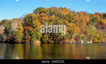 Automne le long de la South Fork Holston River dans le parc national Warrior's Path à Kingsport, Tennesse, États-Unis Banque D'Images