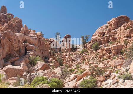 Le paysage rocheux et accidenté sur le sentier caché de la vallée dans le parc national de Joshua Tree en Californie ensoleillée. Banque D'Images