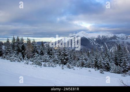 Paysage d'hiver - montagne RAX dans les Alpes autrichiennes, Basse-Autriche Banque D'Images