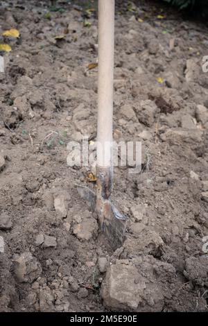 Opérations de creusage dans un potager pour préparer la terre pour le semis de printemps. Banque D'Images