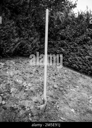 Opérations de creusage dans un potager pour préparer la terre pour le semis de printemps. Banque D'Images