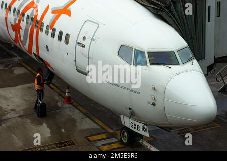 Avion de la compagnie aérienne brésilienne Gol. Banque D'Images