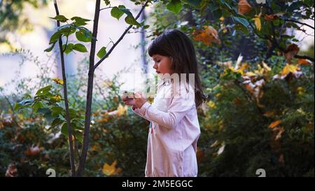 Kiev, Ukraine 17 octobre 2018: Une fille dans le parc regarde une feuille d'un arbre Banque D'Images