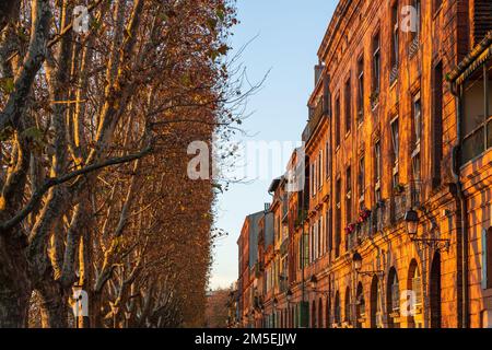 Coucher de soleil coloré sur les anciennes façades de briques et les platanes du Quai de la Daurade, le long de la Garonne, dans la ville rose de Toulouse, France Banque D'Images