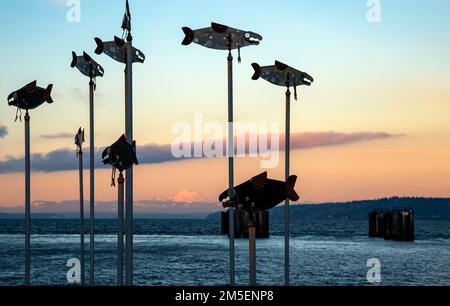 WA22861-00...WASHINGTON - sculptures de poissons et Mount Baker vus au coucher du soleil depuis le quai de pêche d'Edmonds sur le Puget Sound. Banque D'Images