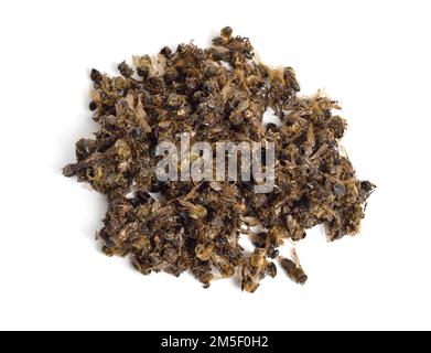 Heap est mort des abeilles pour l'apithérapie isolée sur fond blanc Banque D'Images