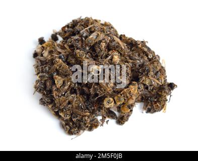 Heap est mort des abeilles pour l'apithérapie isolée sur fond blanc Banque D'Images