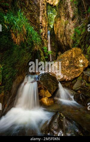 Dungeon Ghyll Force dans Great Langdale, Lake District, Royaume-Uni Banque D'Images