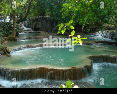 Une vue fantastique sur la nature avec cascades et chutes d'eau de Tat Kuang si à Luang prabang, au Laos Banque D'Images