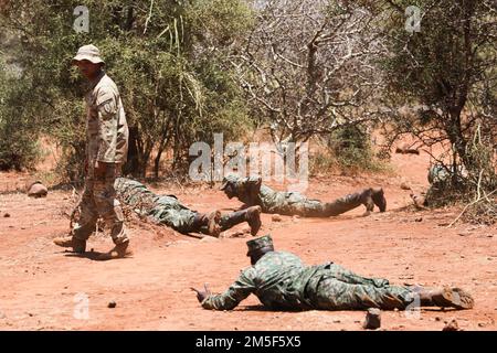 La Force de défense populaire de l’Ouganda et les États-Unis Les soldats de l'armée de la Compagnie Charlie, 1st Bataillon, 2nd brigade d'assistance de la Force de sécurité, dirigent les principes de patrouille des techniques de mouvement de combat 10 mars 2022, à Isiolo, Kenya. Un accord justifié permet aux États-Unis et à nos partenaires africains de soutenir la paix et la stabilité durables dans la région. Plus de 800 personnes participent à l'exercice qui comprend un exercice multinational de formation sur le terrain et un exercice de poste de commandement. Banque D'Images