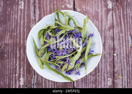 Séchez le thé à base de plantes provenant de fleurs d'herbe à feu dans un petit bol en argile sur fond de bois. Thé traditionnel russe au kopor. Banque D'Images