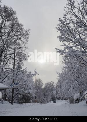 Scène de neige canadienne la semaine avant Noël. Un soleil pâle entre deux rangées d'arbres enneigés. Banque D'Images