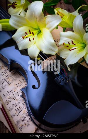 Nénuphars blancs et violon noir sur Sheet Music STILL Life Banque D'Images