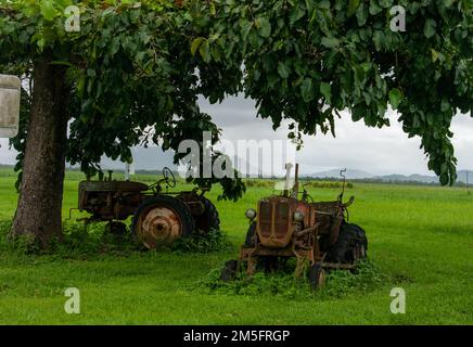 Tracteur Allis Chalmers D-272, abandonné Banque D'Images