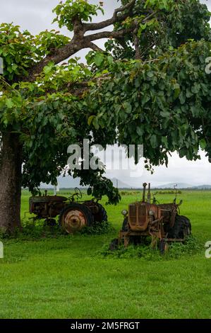 Tracteur Allis Chalmers D-272, abandonné Banque D'Images