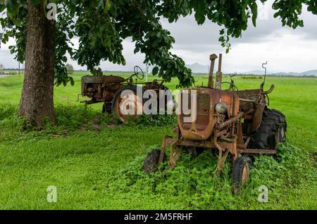 Tracteur Allis Chalmers D-272, abandonné Banque D'Images