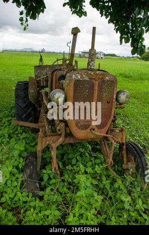 Tracteur Allis Chalmers D-272, abandonné Banque D'Images