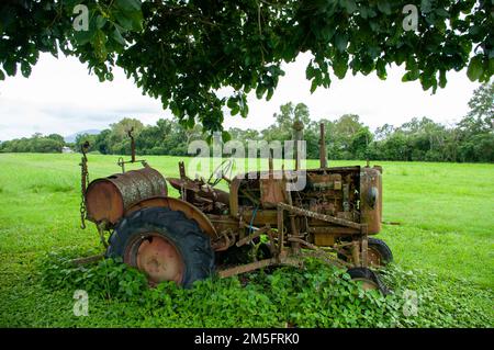 Tracteur Allis Chalmers D-272, abandonné Banque D'Images